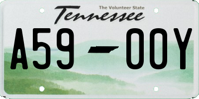 TN license plate A5900Y