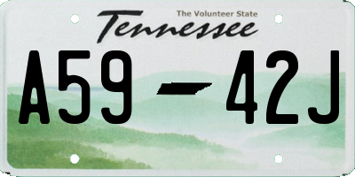 TN license plate A5942J