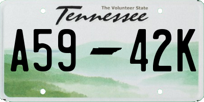 TN license plate A5942K