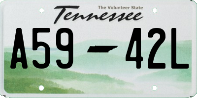 TN license plate A5942L