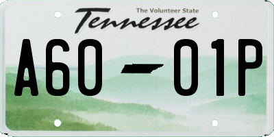 TN license plate A6001P