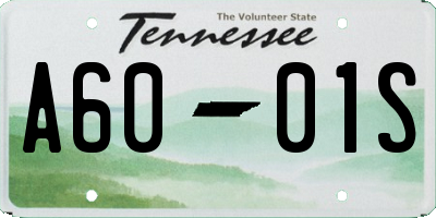 TN license plate A6001S