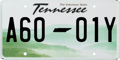 TN license plate A6001Y