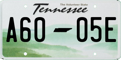 TN license plate A6005E