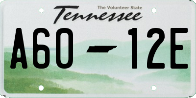 TN license plate A6012E