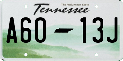 TN license plate A6013J