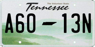 TN license plate A6013N
