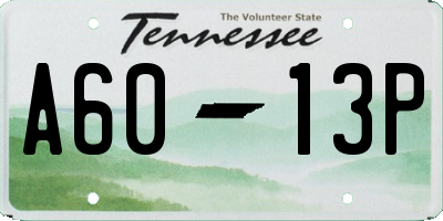TN license plate A6013P