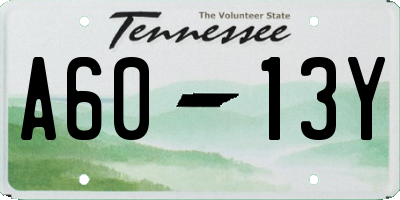 TN license plate A6013Y