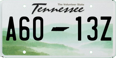 TN license plate A6013Z