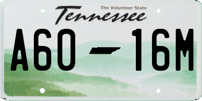 TN license plate A6016M