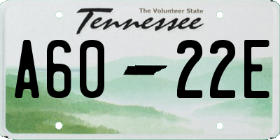 TN license plate A6022E