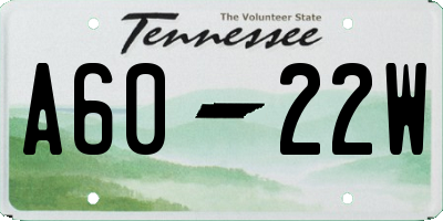 TN license plate A6022W