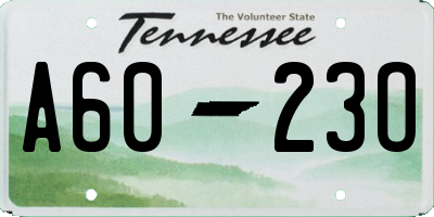 TN license plate A6023O