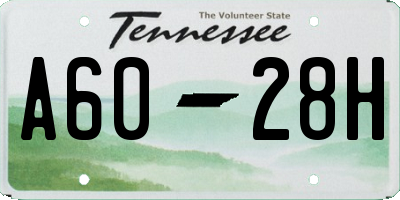 TN license plate A6028H