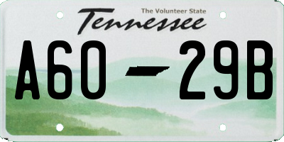 TN license plate A6029B