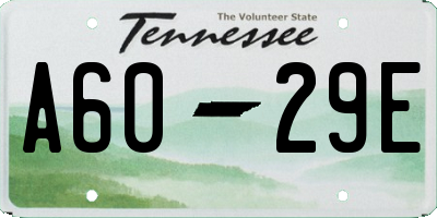 TN license plate A6029E