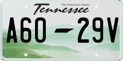 TN license plate A6029V