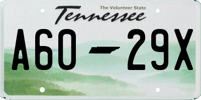 TN license plate A6029X