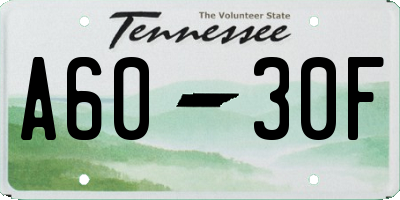 TN license plate A6030F