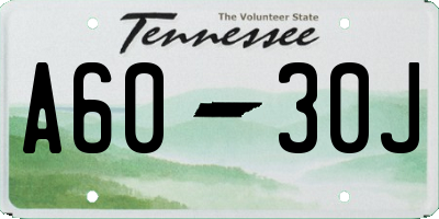 TN license plate A6030J