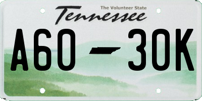 TN license plate A6030K