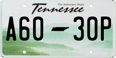 TN license plate A6030P