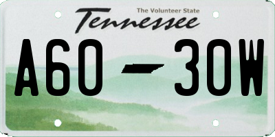 TN license plate A6030W