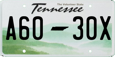 TN license plate A6030X