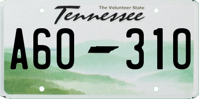 TN license plate A6031O