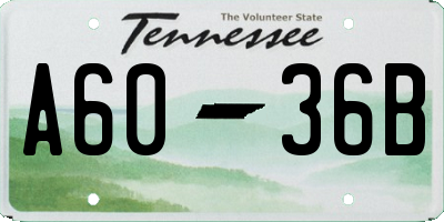 TN license plate A6036B