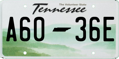 TN license plate A6036E