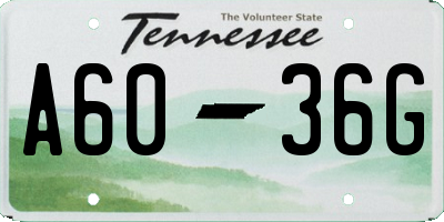 TN license plate A6036G