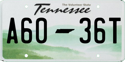 TN license plate A6036T
