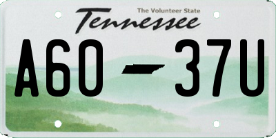 TN license plate A6037U