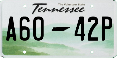 TN license plate A6042P