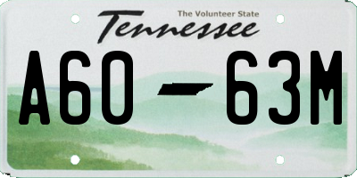 TN license plate A6063M