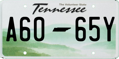TN license plate A6065Y