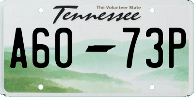 TN license plate A6073P