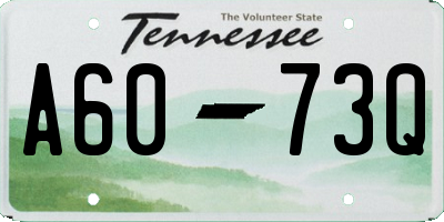 TN license plate A6073Q