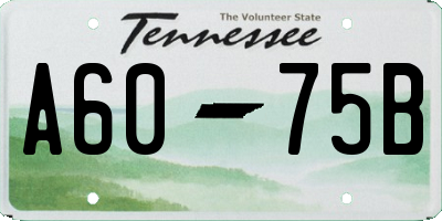 TN license plate A6075B