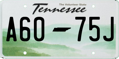 TN license plate A6075J