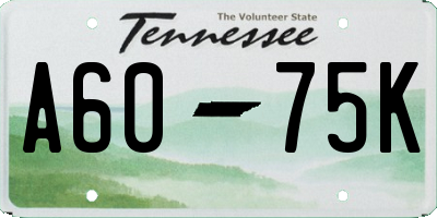 TN license plate A6075K