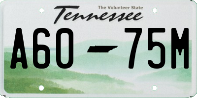 TN license plate A6075M