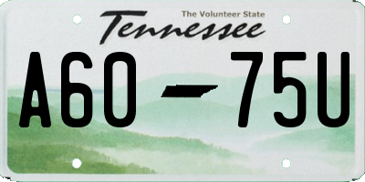TN license plate A6075U