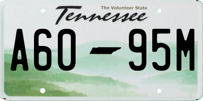 TN license plate A6095M