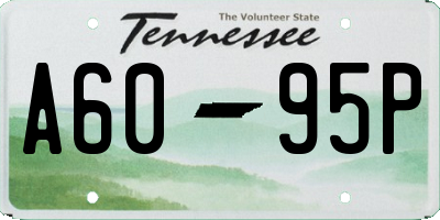 TN license plate A6095P