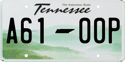 TN license plate A6100P