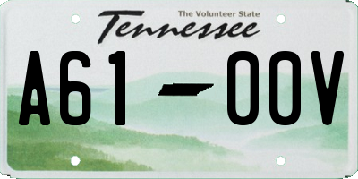 TN license plate A6100V
