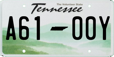 TN license plate A6100Y